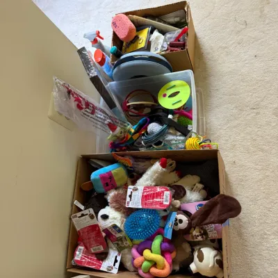 Dog and cat items