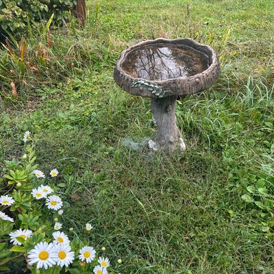 Sale Photo Thumbnail #146: Concrete birdbath designed with a natural faux-bois tree trunk pedestal and leaf accents.