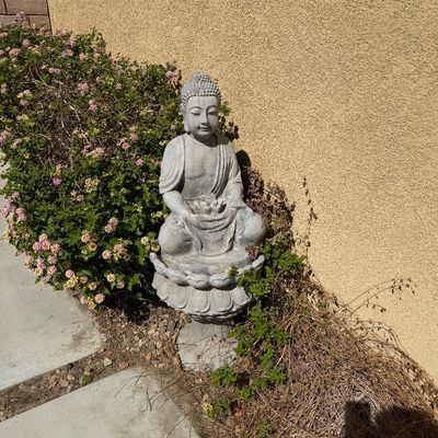 Sale Photo Thumbnail #38: Cast concrete or stone Buddha garden statue seated on a lotus pedestal, depicting the figure holding a small flower or bowl in meditator pose.