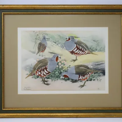 Sale Photo Thumbnail #76