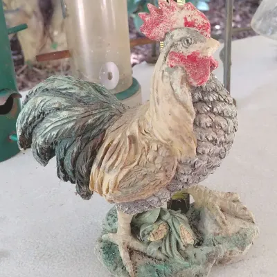 Bird Feeding, Yard Decor And More