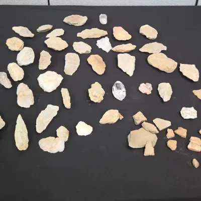 Rocks, Fossils, Or Minerals? 