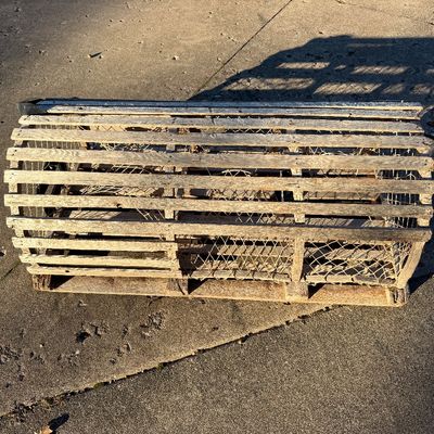 Antique lobster trap