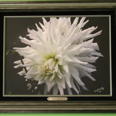 Sale Photo Thumbnail #68