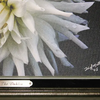 Sale Photo Thumbnail #69