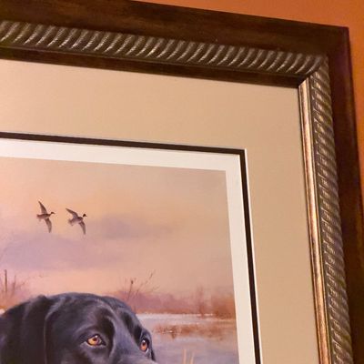 Sale Photo Thumbnail #449