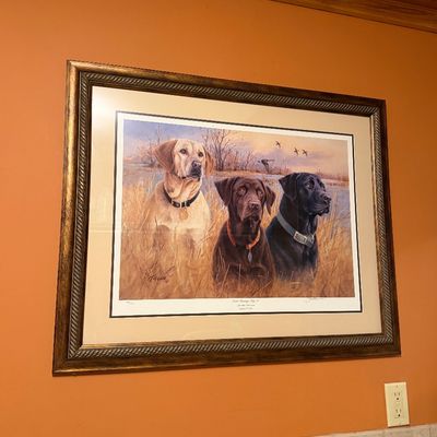 Sale Photo Thumbnail #441