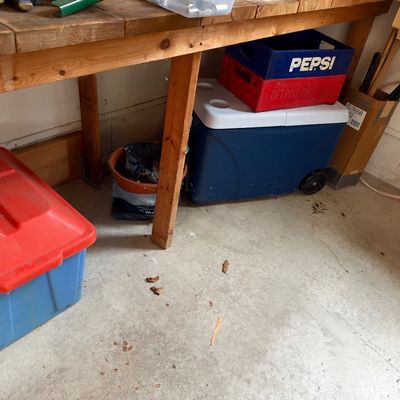 Sale Photo Thumbnail #12: Workshop storage items under a wooden workbench, including a large blue Rubbermaid rolling cooler, a vintage Pepsi crate, a red and blue plastic storage tote, and various household supplies.
