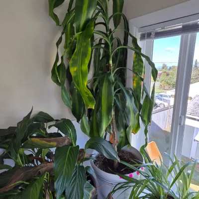 Sale Photo Thumbnail #129