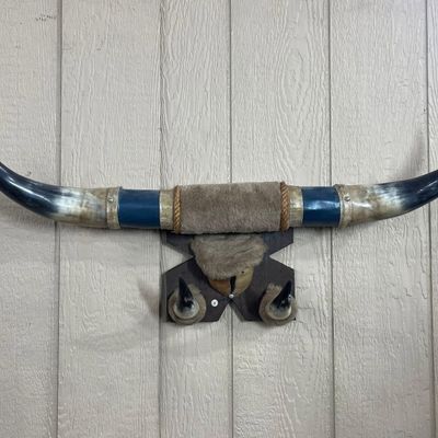 Sale Photo Thumbnail #58: 4-Horn Steer Display with Faux Fur