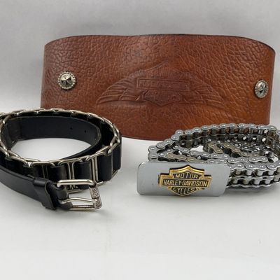 Sale Photo Thumbnail #528: Harley-Davidson Kidney & Chain Belts
