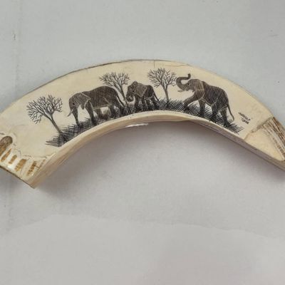 Sale Photo Thumbnail #207: L. Tshuma Scrimshawed Warthog Tusk