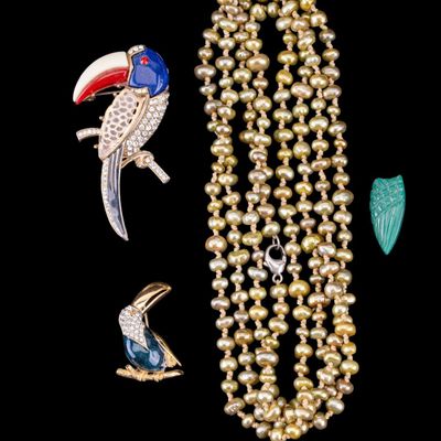 Sale Photo Thumbnail #442: Pearl Necklace and Toucan Bird Pins