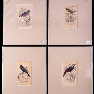 Sale Photo Thumbnail #77: Antique 19th C Hand-Tinted Bird Engravings (4)