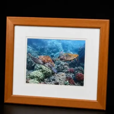 Sale Photo Thumbnail #140