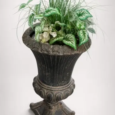 Sale Photo Thumbnail #84