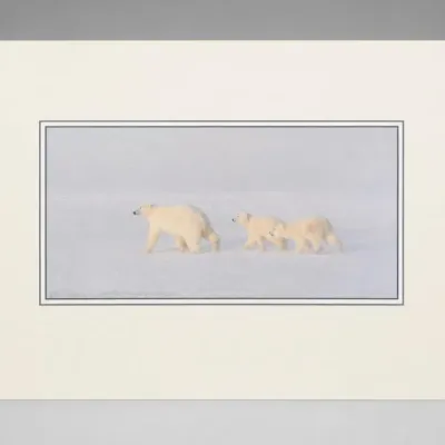 Sale Photo Thumbnail #139
