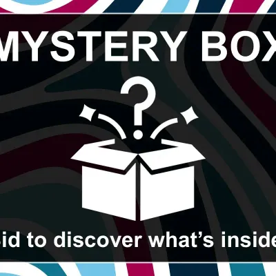 Mystery box 2 miss americana the heartbreak kid