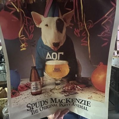 Sale Photo Thumbnail #129: Spuds MacKenzie Beer Posters Lot