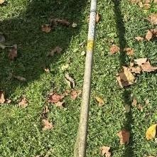 Sale Photo Thumbnail #172: Homelite Straight Shaft Gas String Trimmer