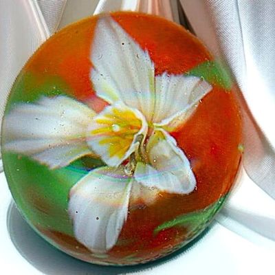 Sale Photo Thumbnail #4: A DIVISION THREE FLORIDA FAVOR BUTTON