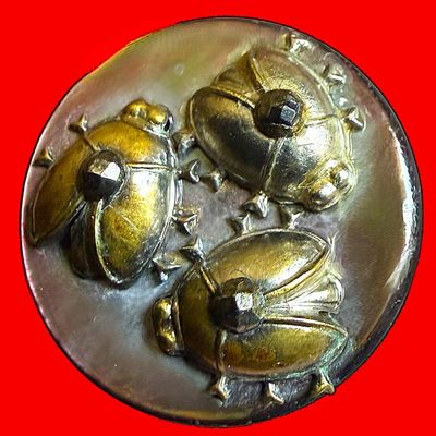 Sale Photo Thumbnail #59: A DIVISION ONE PICTORIAL INSECT PEARL BUTTON