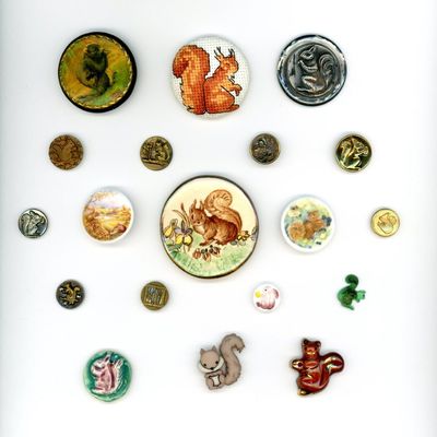 Sale Photo Thumbnail #168: A CARD OF DIVISION ONE AND THREE SQUIRREL BUTTONS