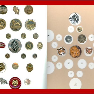 Sale Photo Thumbnail #83: 2 CARDS OF DIVISION ONE AND THREE ANIMAL LIFE BUTTONS
