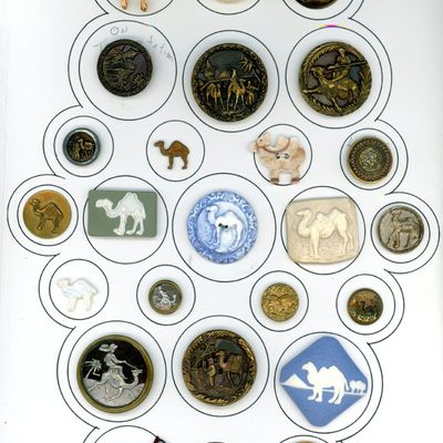 Sale Photo Thumbnail #255: A CARD OF DIVISION 1 & 3 CAMEL BUTTONS