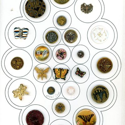 Sale Photo Thumbnail #170: A CARD OF DIVISION ONE AND THREE BUTTERFLY BUTTONS