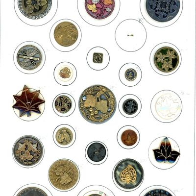 Sale Photo Thumbnail #93: A CARD OF DIVISION 1 & 3 PLANT LIFE BUTTONS
