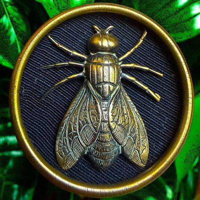 Sale Photo Thumbnail #256: A FINE DIVISON ONE DETAILED PICTORIAL INSECT BUTTON
