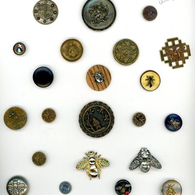 Sale Photo Thumbnail #216: A CARD OF DIVISION ONE AND THREE INSECT BUTTONS