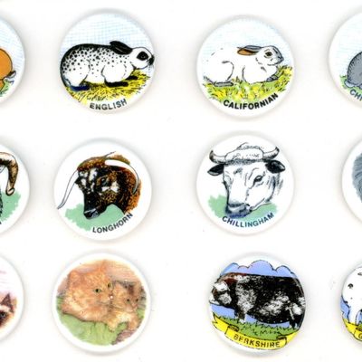 Sale Photo Thumbnail #23: A SMALL CARD OF DIVISION THREE ENGLISH CERAMIC BUTTONS