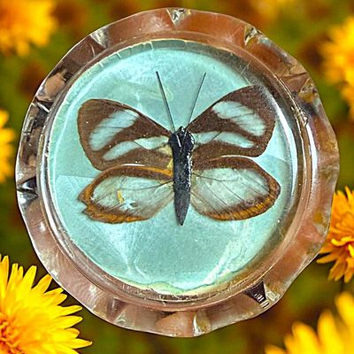 Sale Photo Thumbnail #351: A DIVISION THREE PICTORIAL LUCITE BUTTON
