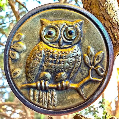 Sale Photo Thumbnail #339: A DIVISION ONE GLASS EYED BIRD BUTTON