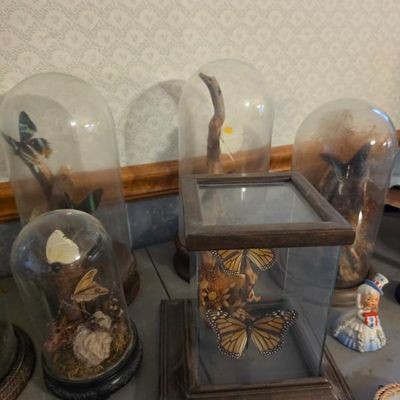 Sale Photo Thumbnail #69