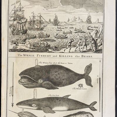 Harris - The Whale Fishery and Killing the Bears