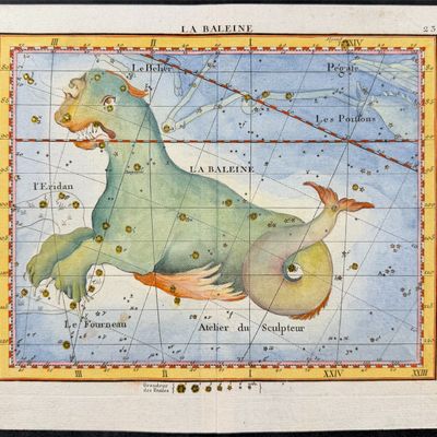 Flamsteed - Constellation or Celestial Chart of La Baleine (Sea Monster)