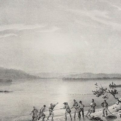 Dumont, Australia - Victoria; Vue Prise au Port Western dans la crique des Mangliers