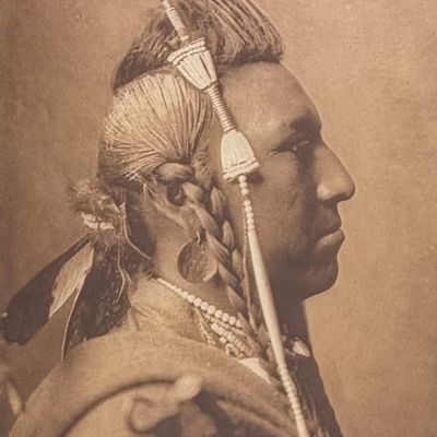 E Curtis, Folio, Japanese Tissue - Swallow Bird - Apsaroke