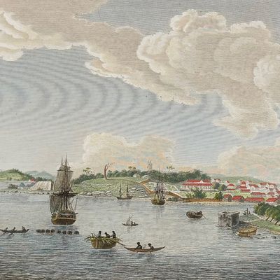 Peron & Freycinet - View of Sydney, Australia [New Holland]