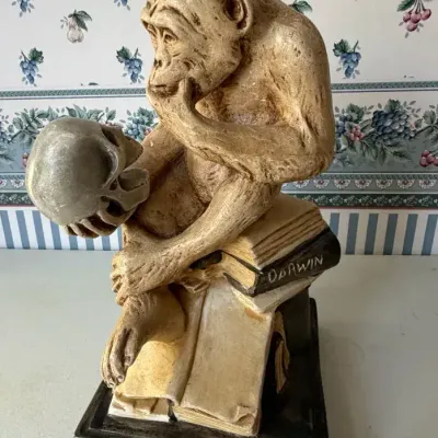 DM329 - Darwin - The Thinker 
