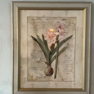 Sale Photo Thumbnail #91: Vintage botanical art print