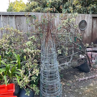 Sale Photo Thumbnail #116: Garden wire 