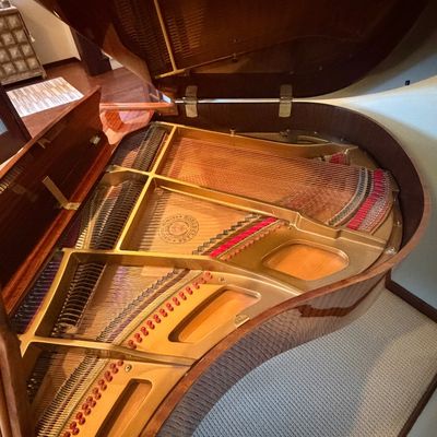 Sale Photo Thumbnail #6: Stunning Story & Clark Prelude baby grand piano has a polished mahogany wood finish. This instrument is a Prelude model with a matching padded bench. The piano has a high-gloss exterior and brass hardware.
Approx 5x5 feet. 
Buyer pays moving costs.