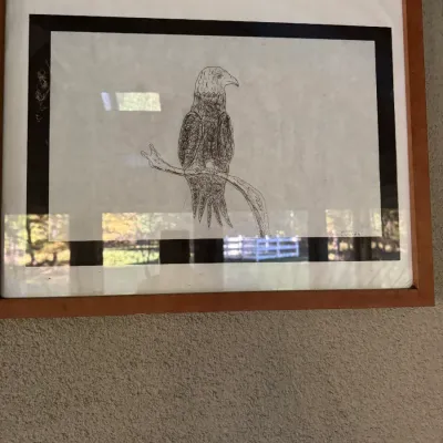 Framed ink drawing depicting a perched eagle, housed in a thick wood frame behind glass.