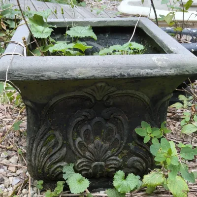 Sale Photo Thumbnail #293
