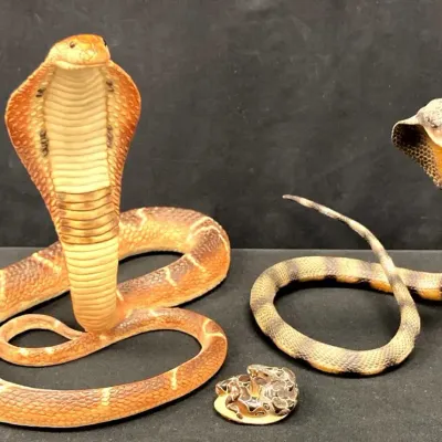 Snakes! 