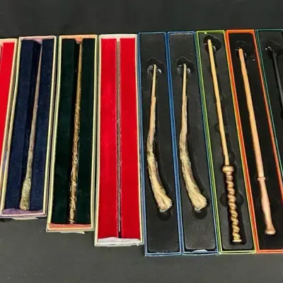 Main Character Wands From The Harry Potter Series